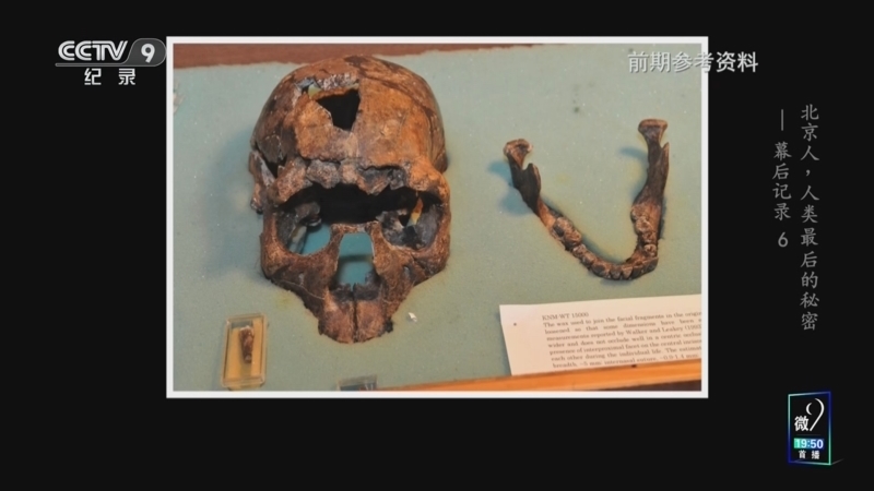 《北京人 人类最后的秘密》 幕后记录 第6集