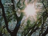 自然传奇 《自然传奇》 20140921 野性新天地