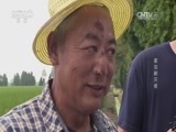 我爱发明 《我爱发明》 20161101 害虫剿灭者