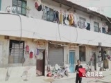 今日说法 《今日说法》 20151110 暗访蛤蟆山