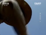地理中国 《地理中国》 20160508 奇居之地·海岛奇城（下）