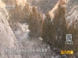 远方的家 《远方的家》长城内外 第108集 黄土高坡 绿色梦想 20160323