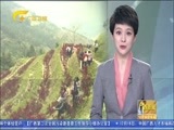 广西新闻 《广西新闻》 20171216