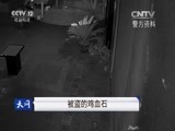 天网 《天网》 20160715 被盗的鸡血石