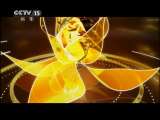 风华国乐 风华国乐 2011年 第85期