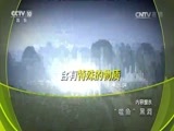 地理中国 《地理中国》 20170514 “噬鱼”黑洞