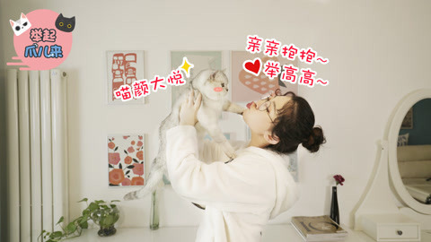 举起爪儿来 7招让猫主子更开心