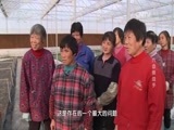 我爱发明 《我爱发明》 20170209 穴盘操盘手