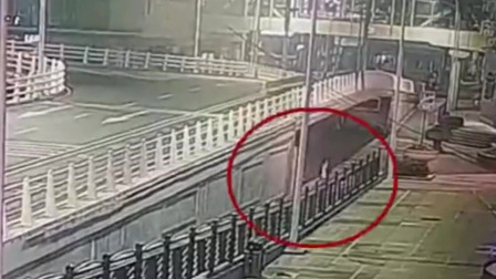 拾荒男子桥下猥亵女子被过肩摔 对方曾练过跆拳道