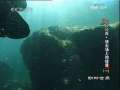 动物世界 动物世界 2009年 第178期