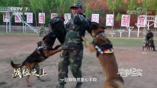 军事纪实 《军事纪实》 20200430 战位之上 我是军犬驯导员