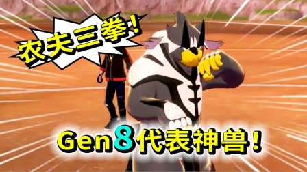 酷爱精灵宝可梦 第一季 格斗属性制约对战来啦！第八世代神兽农夫三拳！