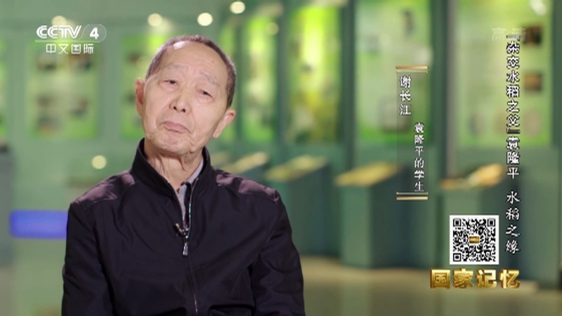 国家记忆 《国家记忆》 20220516 “杂交水稻之父”袁隆平 水稻之缘