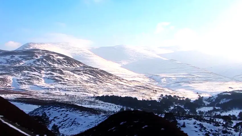 《贝爷绝世大冒险》第3集