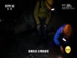 地理中国 《地理中国》 20180629 龙鱼奇案
