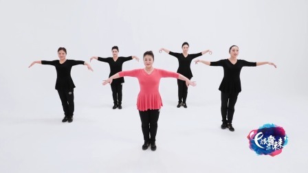 鸿雁飞飞-李萍（舞蹈展示）
