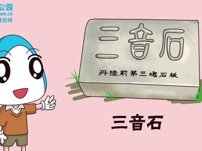 鲨鱼公园小小鲨科学课堂 大声点