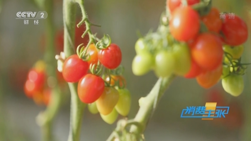 消费主张 《消费主张》 20220302 节后看市场：蔬菜消费调查