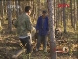 生财有道 《生财有道》 20120104 放猪归山 财源滚滚
