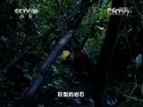 地理中国 《地理中国》 20150627 墨脱幻境（下）