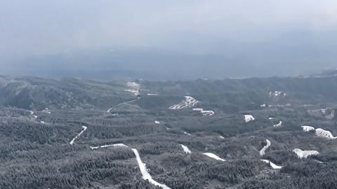湖北新闻20210308