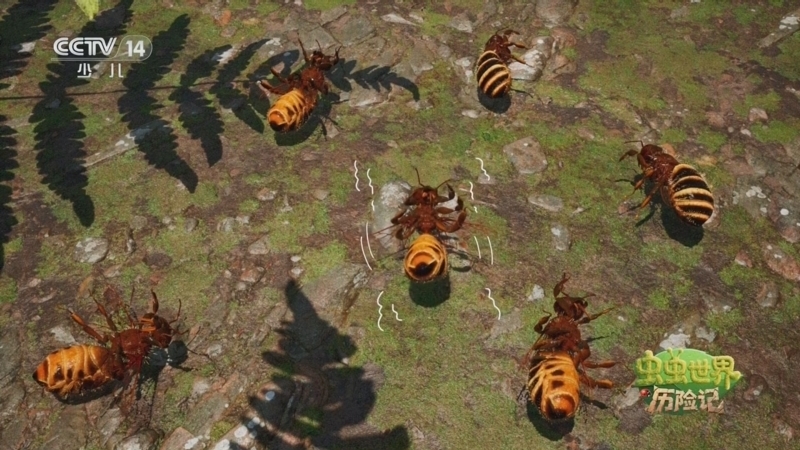 《虫虫世界历险记》 20251018