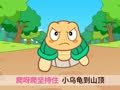 起司公主 小乌龟和小白兔