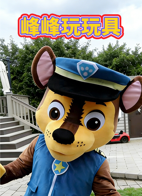 峰峰玩玩具