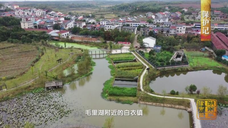 中国影像方志 《中国影像方志》 第685集 湖南津市篇