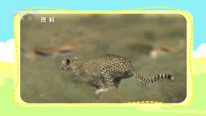 小小智慧树 《小小智慧树》 20250428