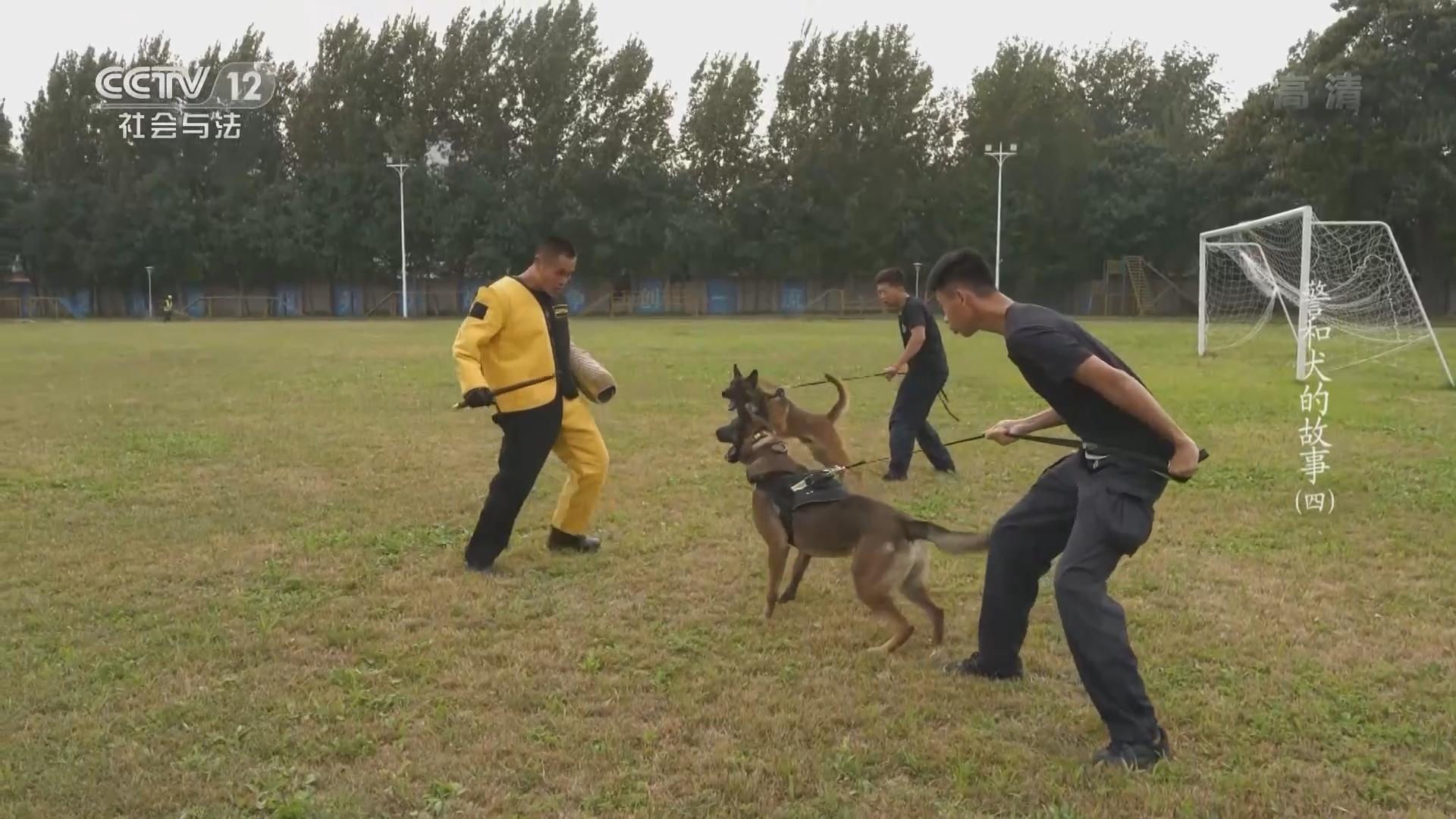 天网 《天网》 20220101 系列节目《警和犬的故事》（4）