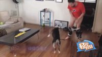 轻松时刻 第二季 不是我不小心 只是激情难以抗拒 64