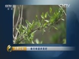 消费主张 《消费主张》 20160404 春天味道多美好