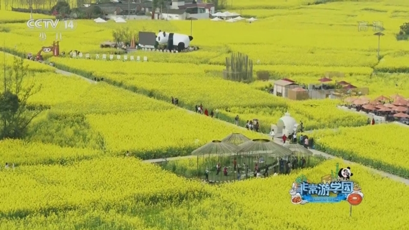 动感特区 《动感特区》 20221124 非常游学团 幸福诗篇——竹里诗韵