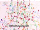 焦点访谈 《焦点访谈》 20160527 用大数据做大文章
