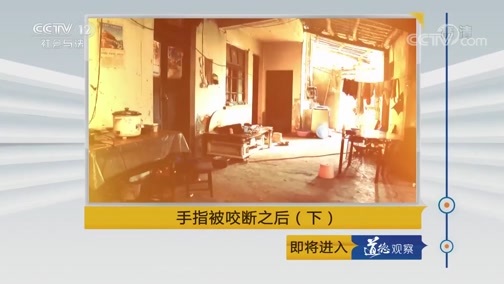 道德观察 《道德观察(日播版)》 20190618 手指被咬断之后（下）
