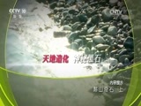 地理中国 《地理中国》 20170209 黟山奇石（上）