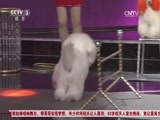 向幸福出发 《向幸福出发》 20160306