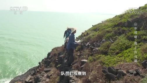 地理中国 《地理·中国》 20200605 山水寻奇·海上“兵马俑”