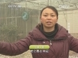 地理中国 《地理中国》 20140404 高原探奇（下）