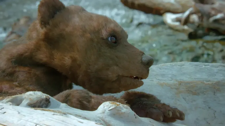 《荒野间谍第二季》第2集