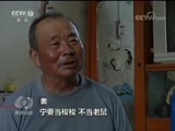 焦点访谈 《焦点访谈》 20170915 骆驼的想法