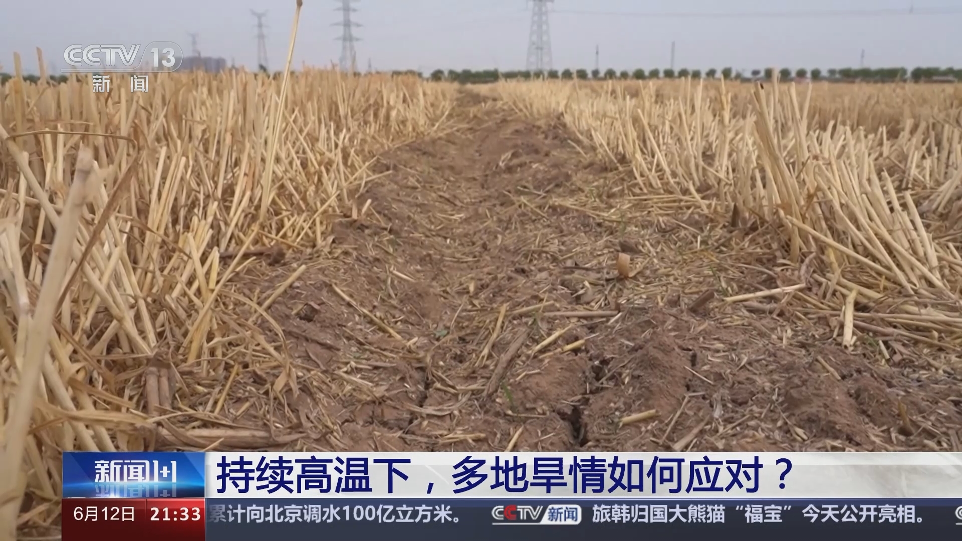 新闻1+1 《新闻1+1》 20240612 持续高温下，多地旱情如何应对？
