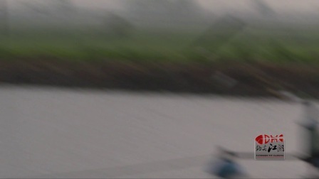 第二十五期 爆连草鱼 小崔创钓场新高