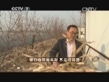 致富经 《致富经》 20150306 银行白领发羊财 不走寻常路