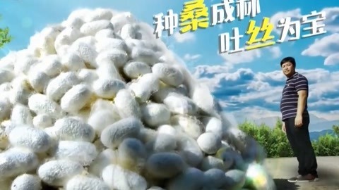 与梦想合拍 种桑成林 吐丝为宝