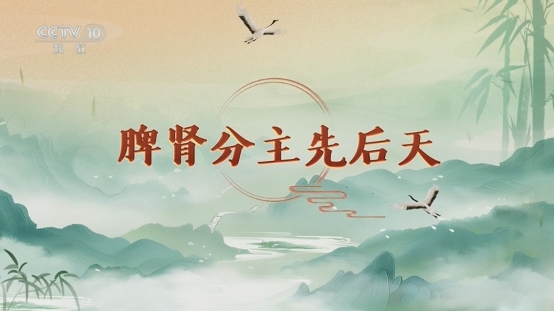 百家讲坛 《百家讲坛》 20250317 延年益寿话养生（第一部） 16 脾肾分主先后天
