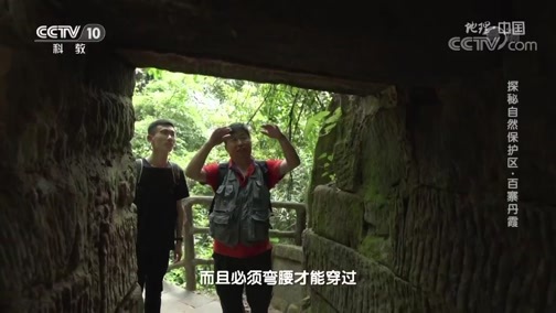 地理中国 《地理·中国》 20191023 探秘自然保护区·百寨丹霞