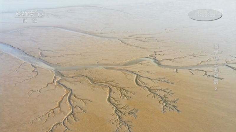 《地理·中国》 20260303 海岸线上的风景2