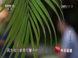 今日说法 《今日说法》 20170405 警察与小偷（上）